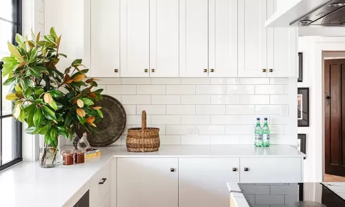 Modern kitchen with white cabinets, subway tile backsplash, yellow island, and a large green plant