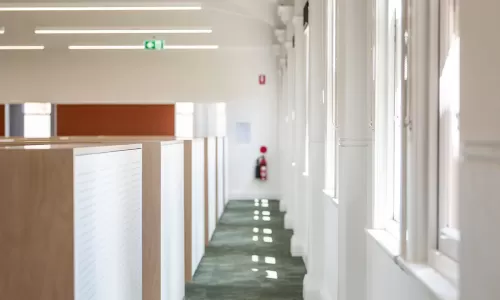 Sunlit office hallway with green carpet, white-framed windows, and rows of modern workstations on the left.