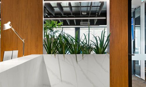 Front Desk side with plants as display