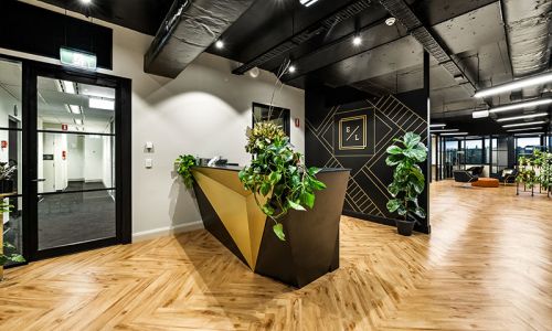 front counter with ornament plants